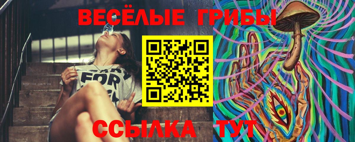 Тайшет  Галлюциногенные грибы прущие грибы  Галлюциногенные грибы ЛСД  закладка  Вход с VPN 