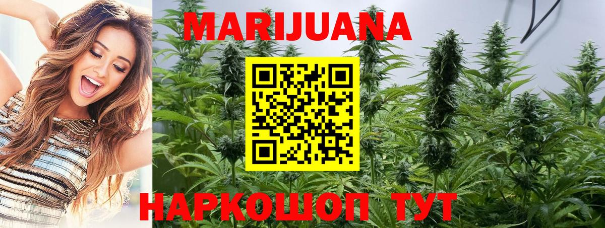 Бошки Шишки марихуана  Вход с VPN  Бошки Шишки гибрид  Конопля LSD WEED  Тайшет  Конопля марихуана 